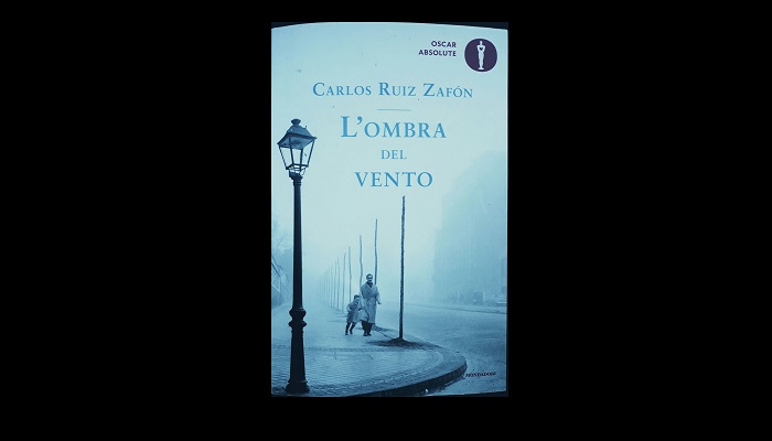 Pillole di cultura - Carlos Ruiz Zafón, L'ombra del vento  #pilloledicultura #zafon #leggere #libri #lettura #letteratura #frase  #frasidelgiorno #frasedelgiorno #frasi #romanzo #lombradelvento